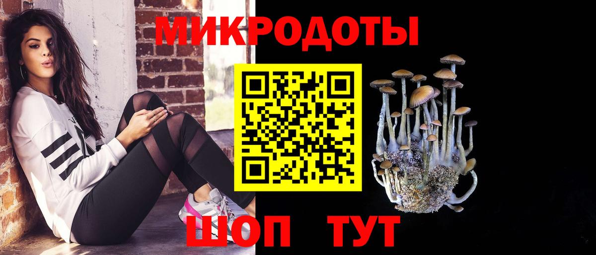 Галлюциногенные грибы GOLDEN TEACHER  Вход с VPN  Урус-Мартан 